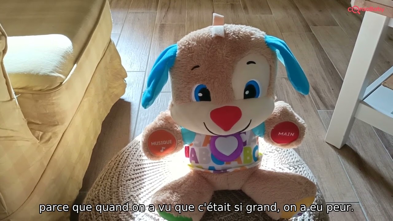 Avis vidéo Peluche interactive Puppy FISHER PRICE