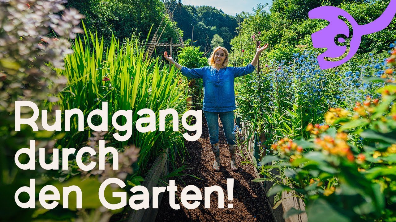 Gartenrundgang Juni 2024 | So wächst unser Garten trotz Regen und Schnecken 🐌🌧️