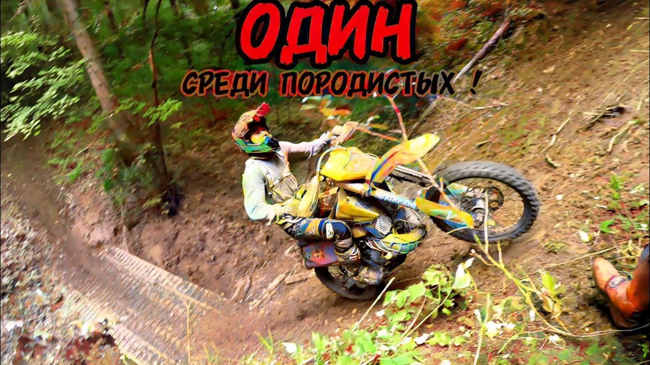 ОДИН среди породистых!