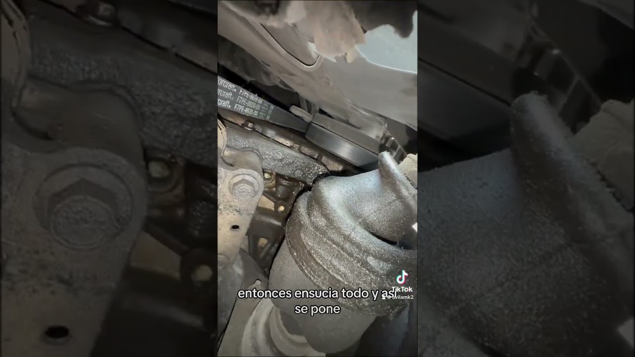 Esa es la causa del ruido 👀 