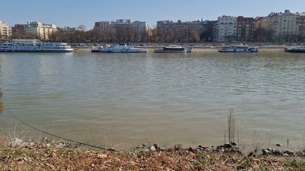 Dunapart Budapest Margitsziget
