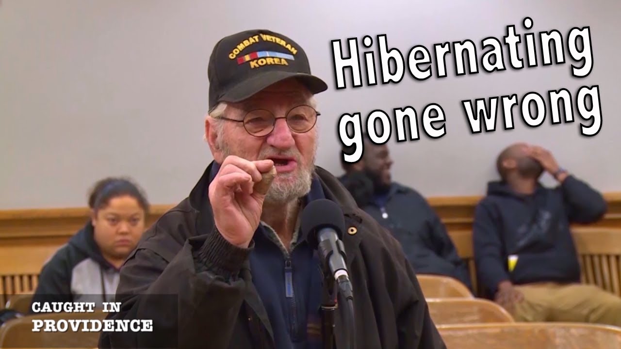 Hibernating gone wrong & 2 AM turn signal violation