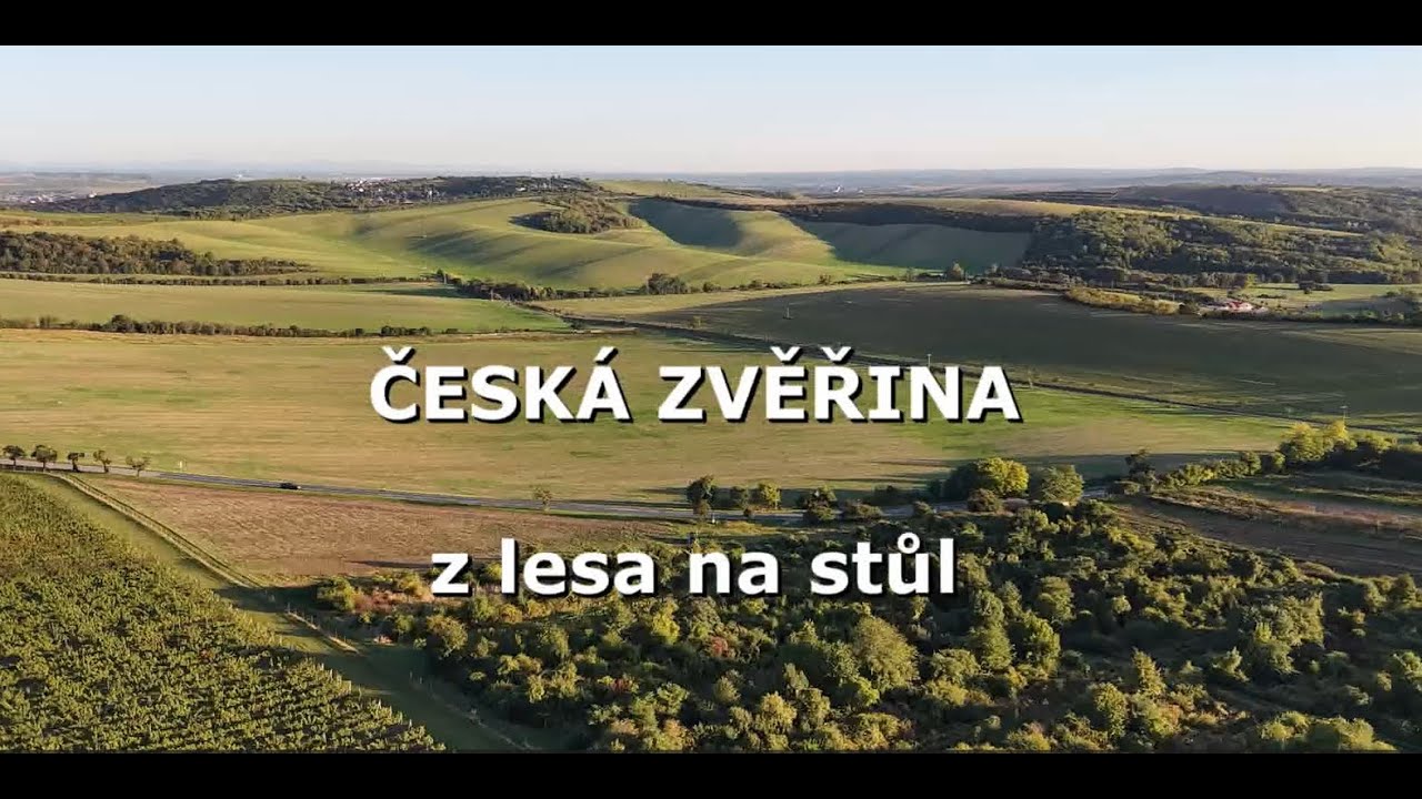 Česká zvěřina - z lesa na stůl