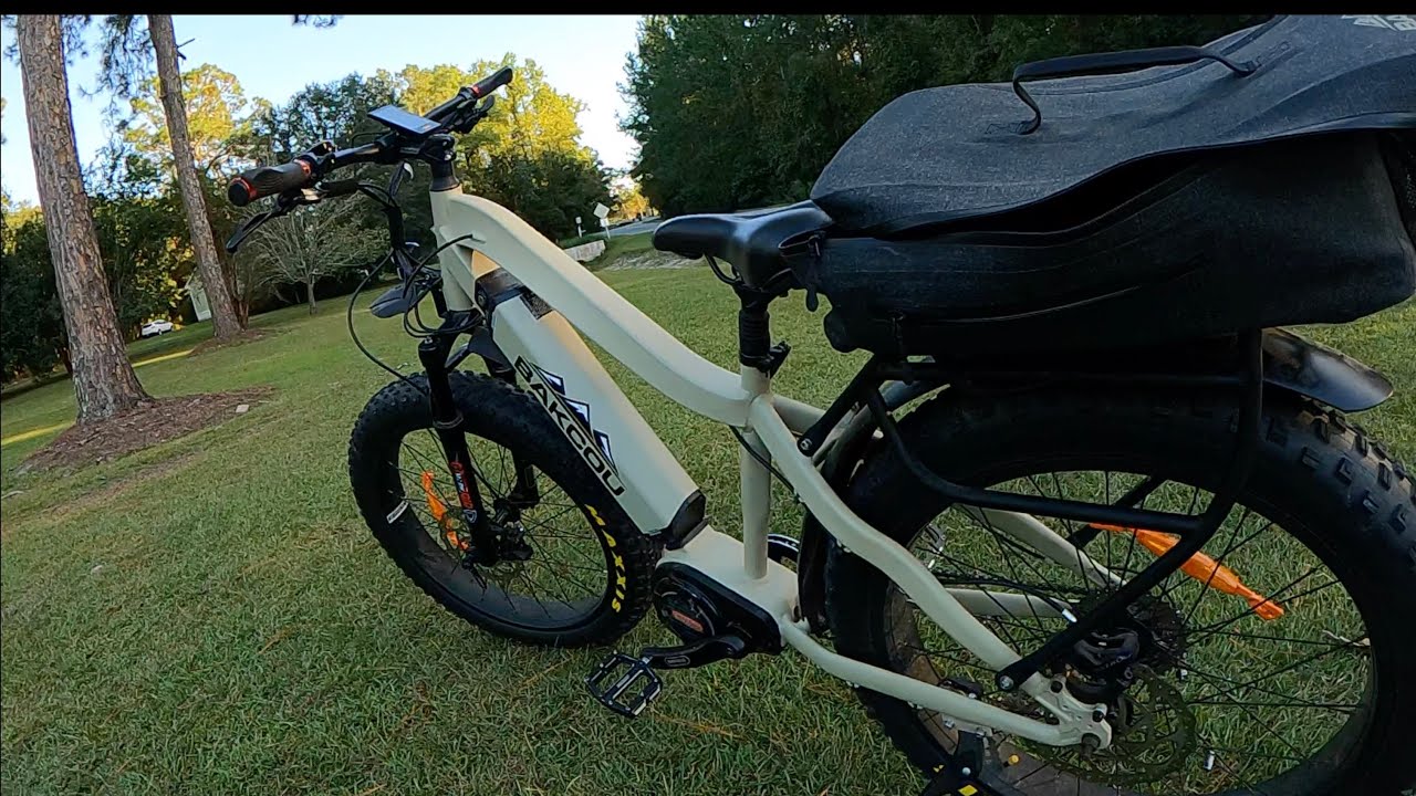 The Best E-bike on the Market! (Bakcou Bike)