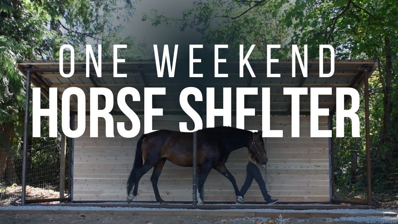 Horse Shelter + Mud Control in One Weekend
