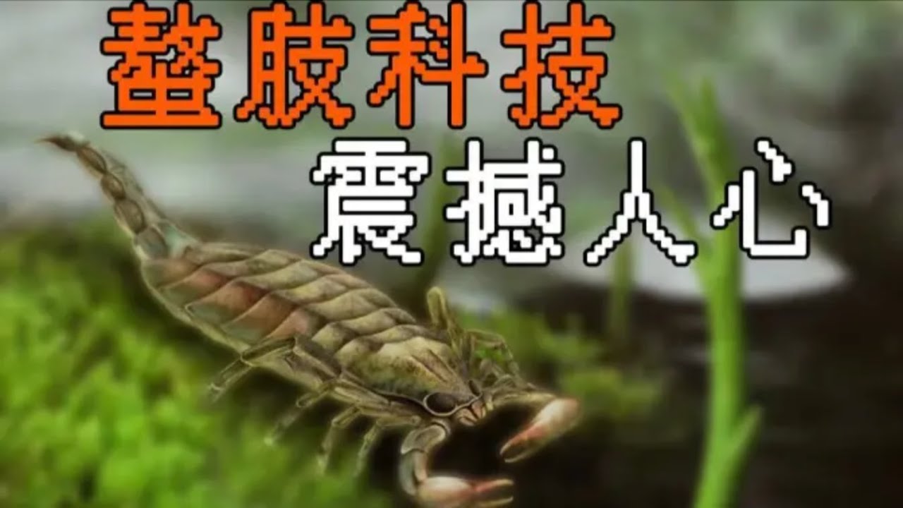 【鬼谷说】蜘蛛前传：千万年未有之大变局