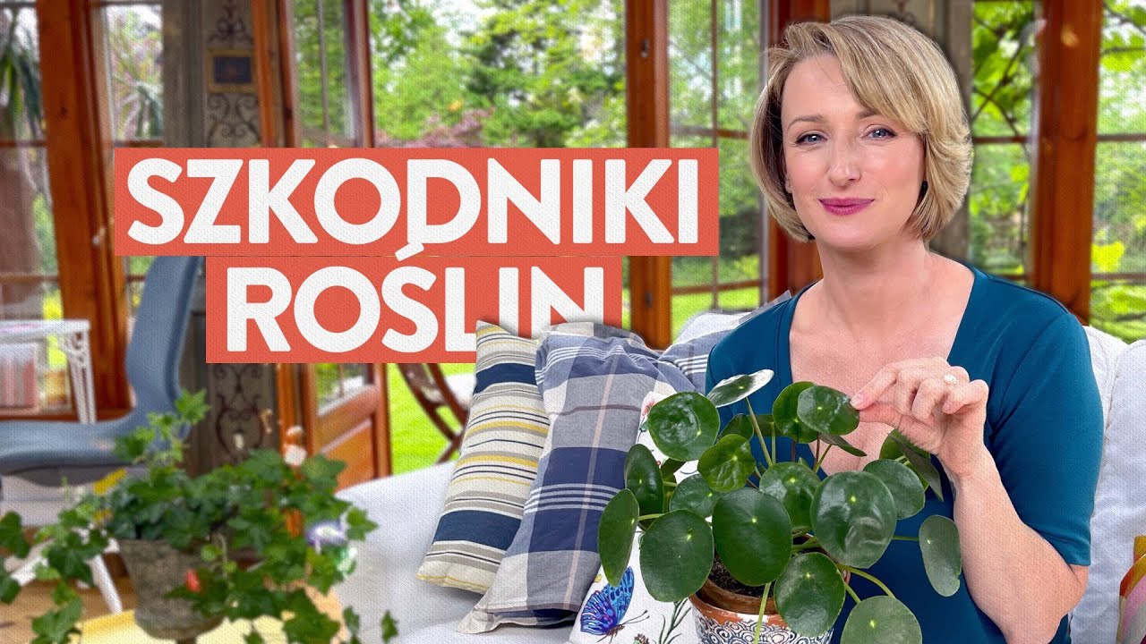 Szkodniki roślin domowych i ogrodowych - jak im zapobiegać i przeciwdziałać | Ula Pedantula #303