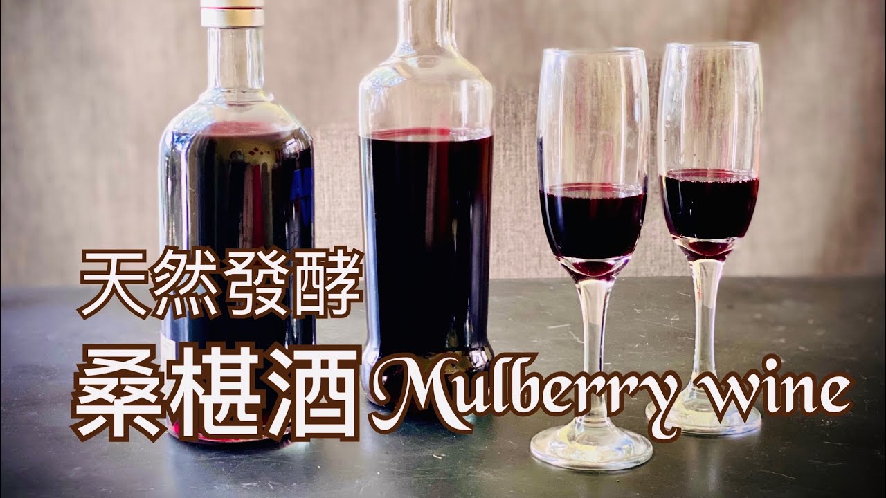 天然發酵桑椹酒Mulberry wine 古法釀酒、阿嬤的釀酒法、沒加一滴酒，為什麼會變成酒精？Sub Eng字幕