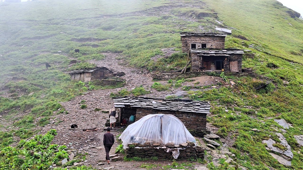 Most Peaceful And Relaxing Nepali Mountain Village Life | rainy Day | Shepherd Food | Shepherd Life