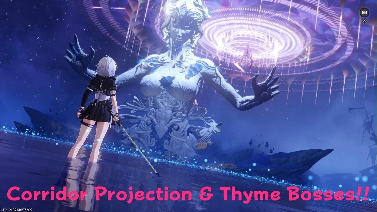 NTE - Corridor Projection & Thyme Bosses