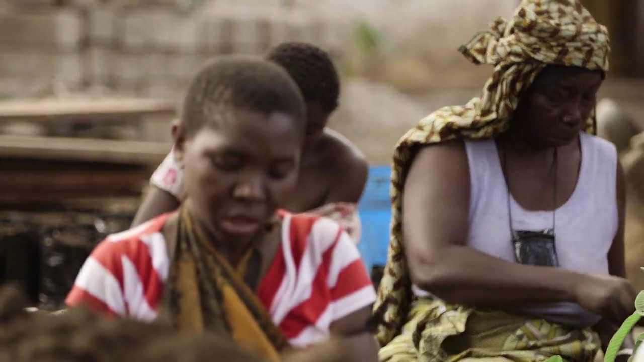 Chapitre 1: Tanzanie (REDD+ et l'avenir des forêts africaines)