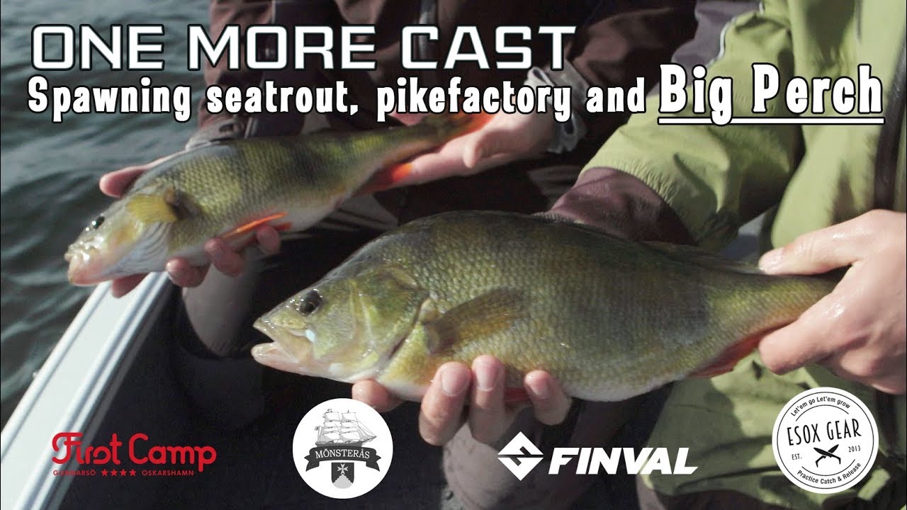 One More Cast - Fiske efter Stor Abborre