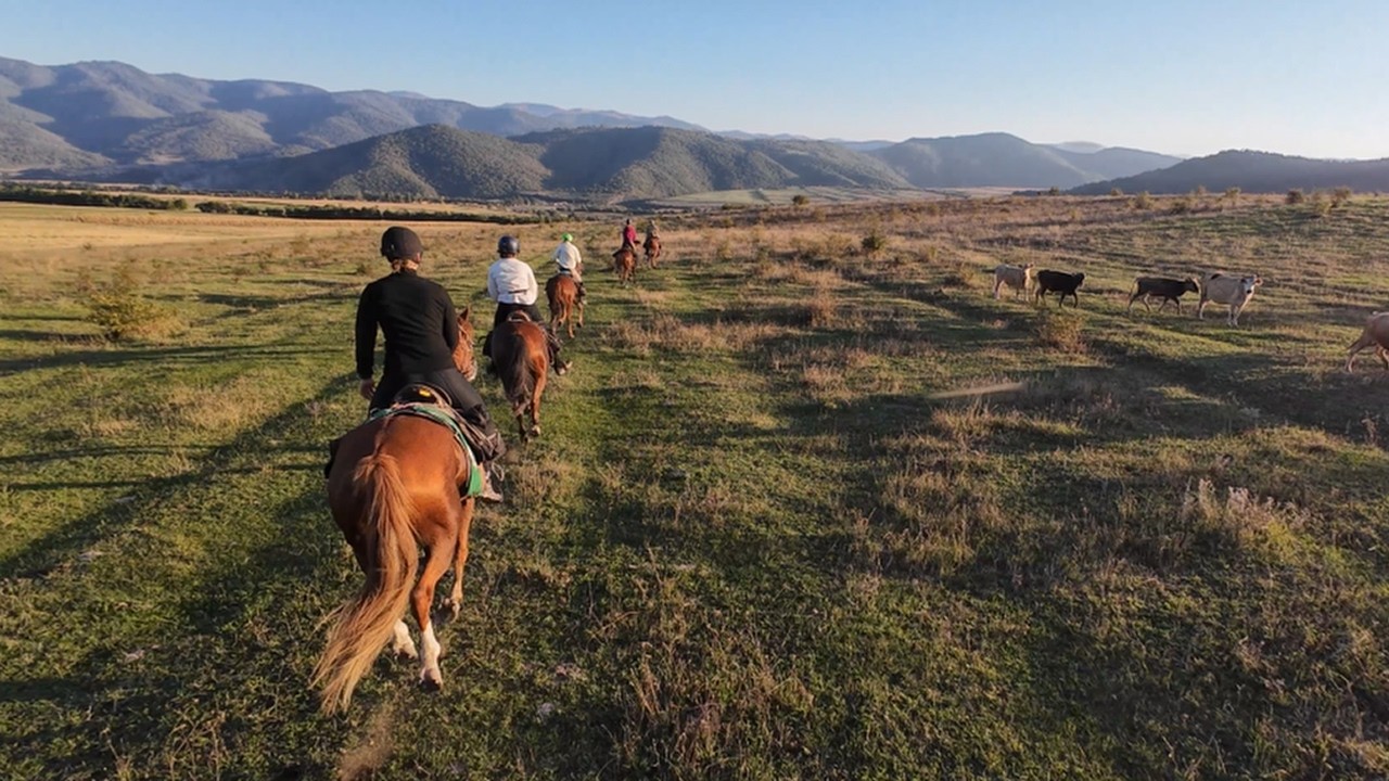 Galop Sauvage dans le Caucase : 8 Minutes d'Adrénaline Pure
