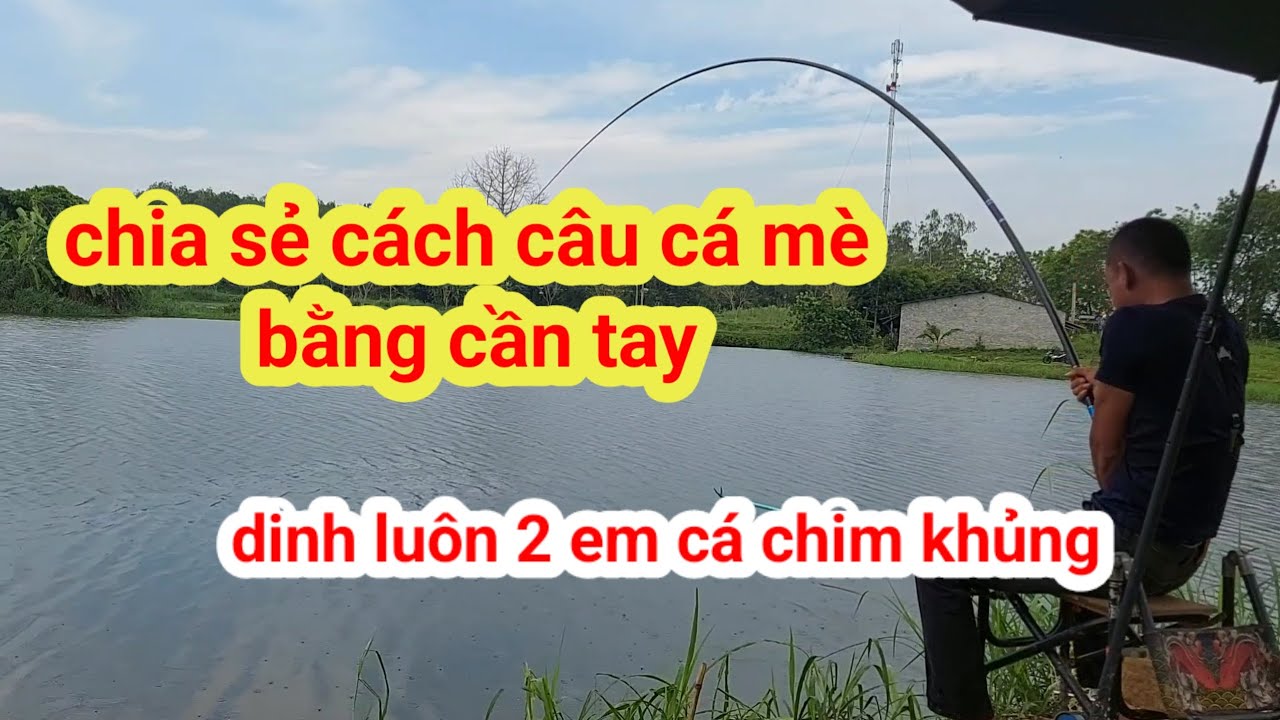 chia sẻ cách câu cá mè trắng bắng cần tay. vớ luôn 2 con cá chim khủng ae ạ 