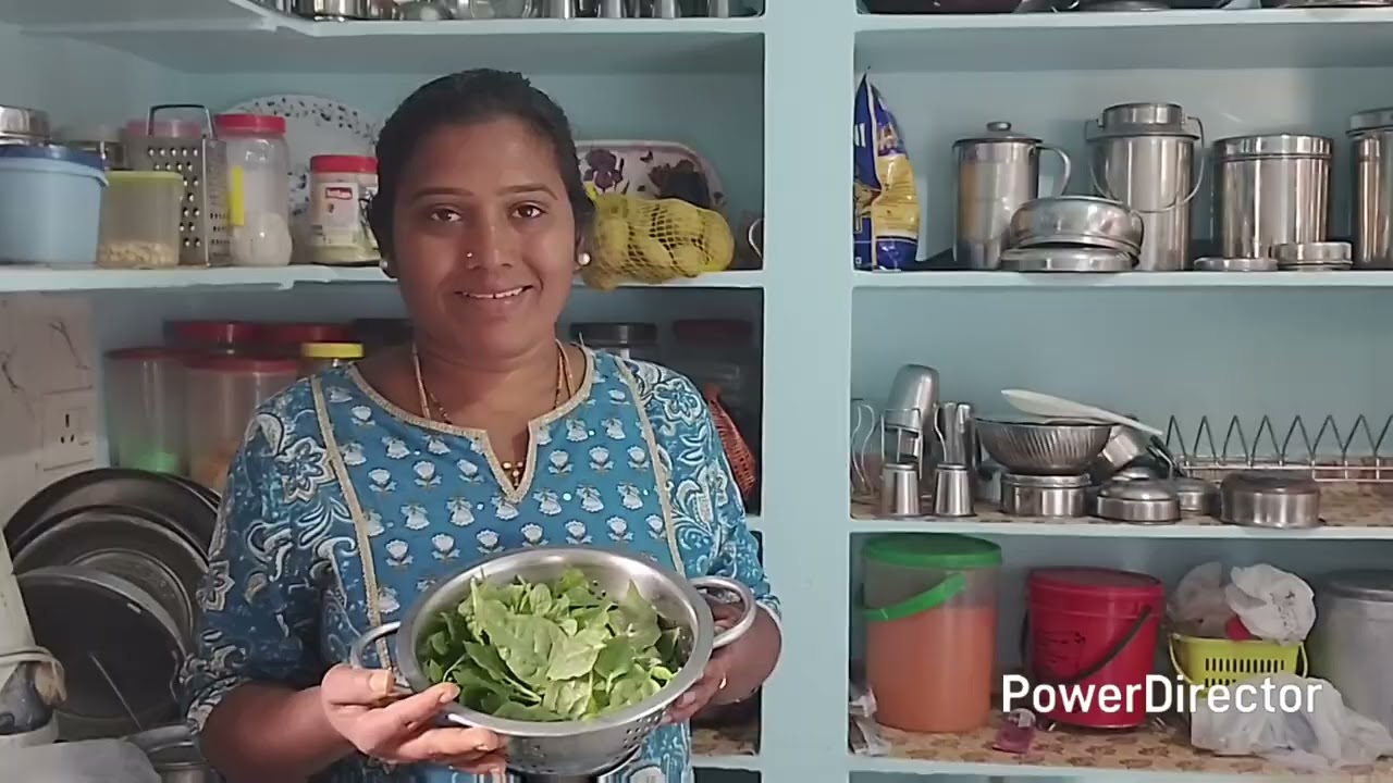 Garden vlog// బచ్చలి ఆకు harvest// బచ్చలి పప్పు తయారు చేశాను
