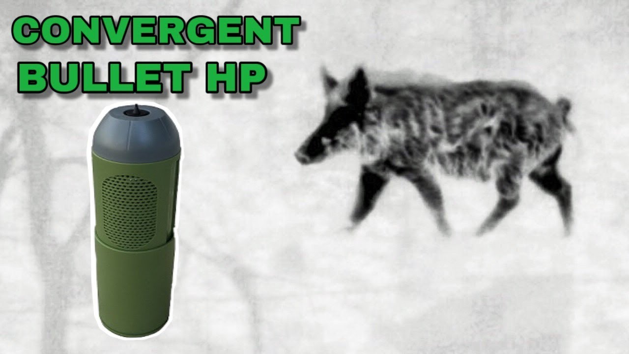 Wild Hog Called to a Running Truck!