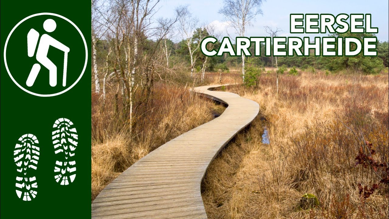 Wandelen Eersel Cartierheide (Noord-Brabant) |  WGZL 1083
