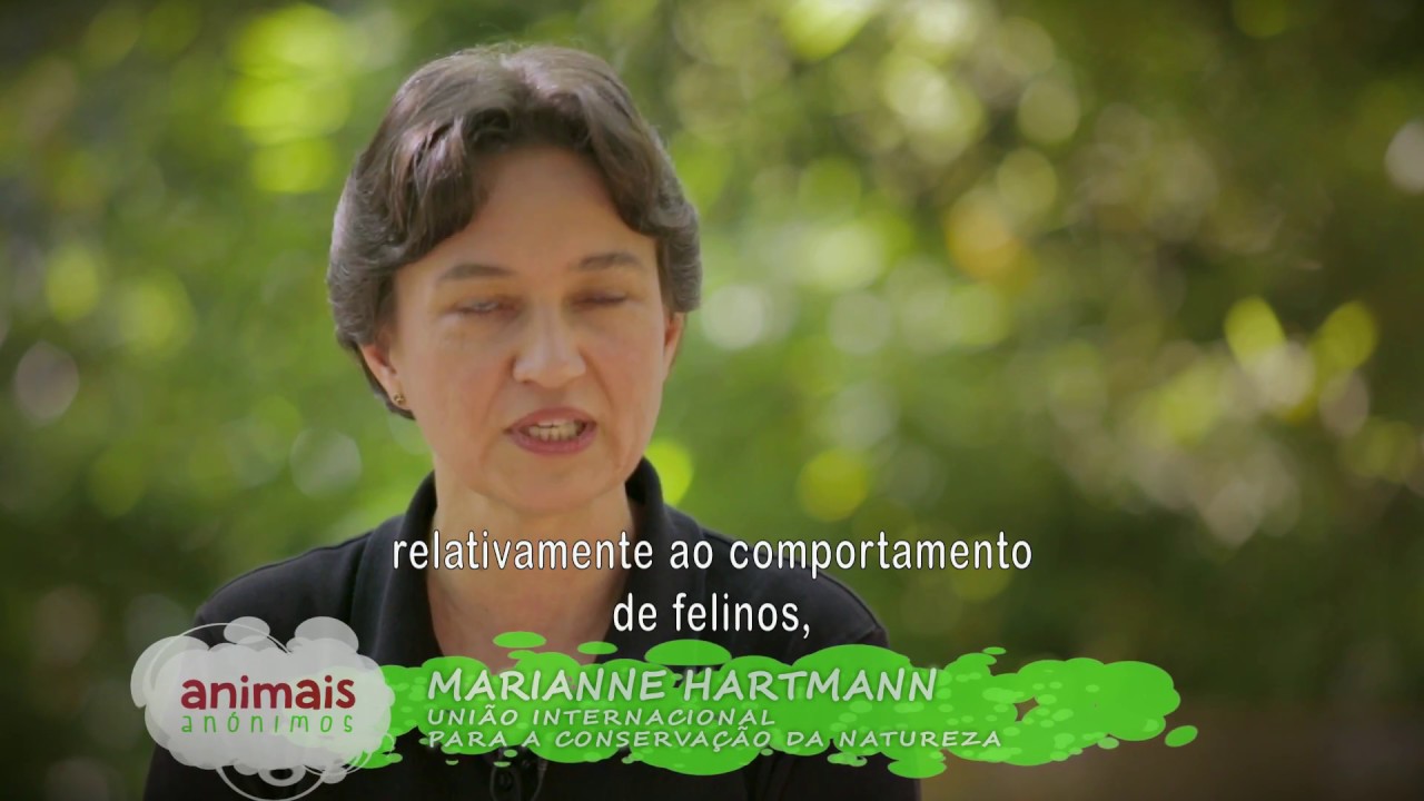 Leopardo-da-pérsia B.I. - Animais Anónimos | Jardim Zoológico