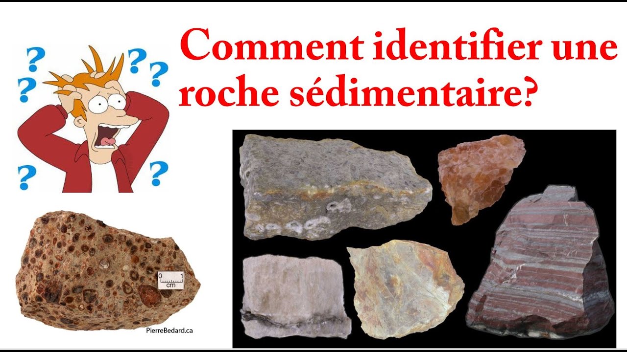LES ROCHES SEDIMENTAIRES (Partie 1)