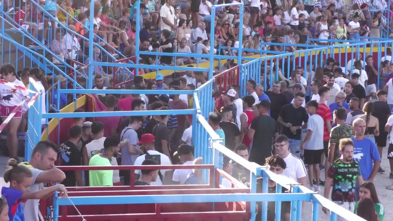 Las fiestas se apoderan de la comarca de L'Alacant&iacute; | Alacant&iacute;TV