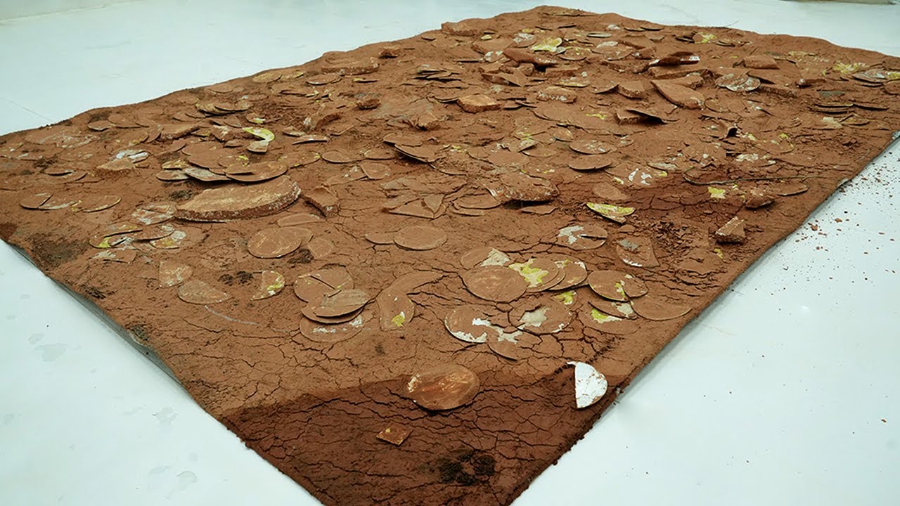 This Rug Was Left in the Dirt for Months… Watch the Transformation – ASMR Carpet Cleaning