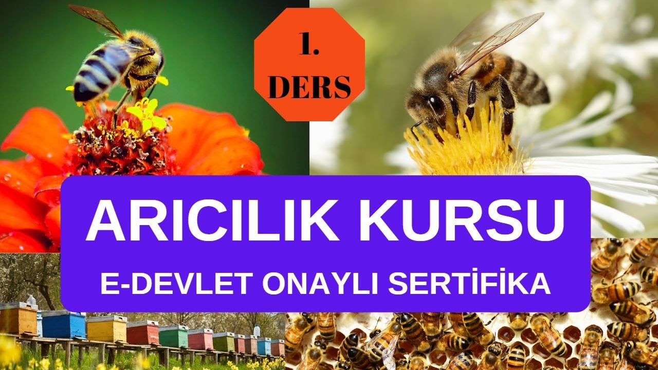 Arıcılığın Tarih&ccedil;esi 1. Ders