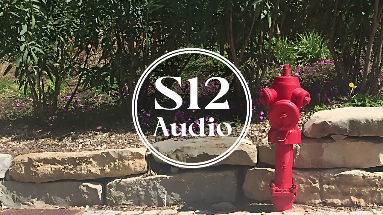 DJ Strong & Ensemble - Just i Imagination  [S12 Audio]