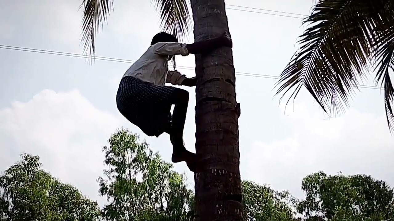எங்க வீட்டு மகாராணி சொல் ராஜாவின் செயல்#villagelife #tamil #comedy 