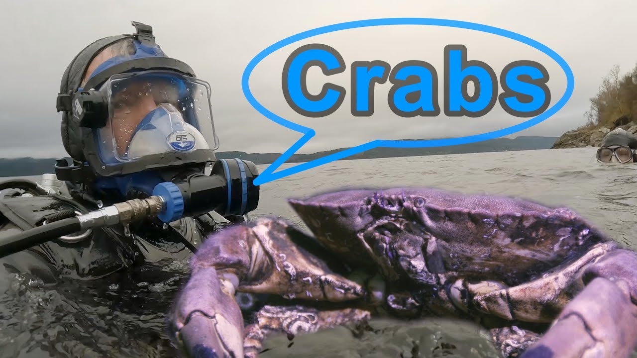 Narrated Scuba Dive – Triple Reef, Loch Fyne, Scotland