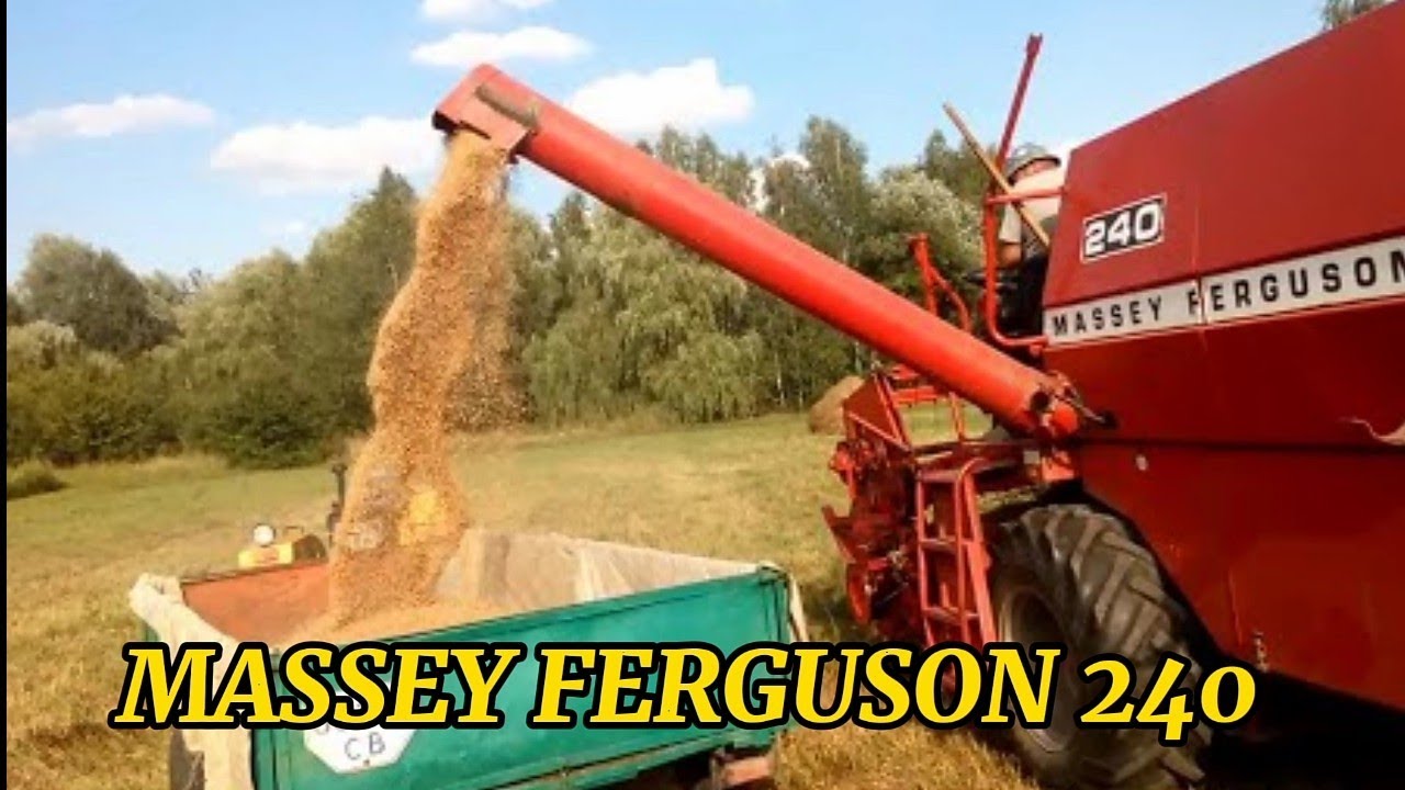 Молотим у тестя пшеницю. Комбайн Massey Ferguson  240