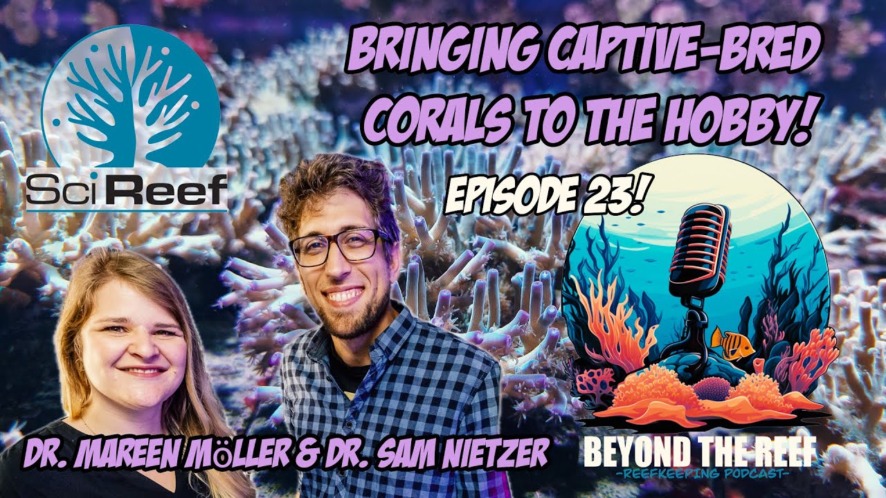 Episode 23: Dr. Samuel Nietzer and Dr. Mareen Möller - SciReef