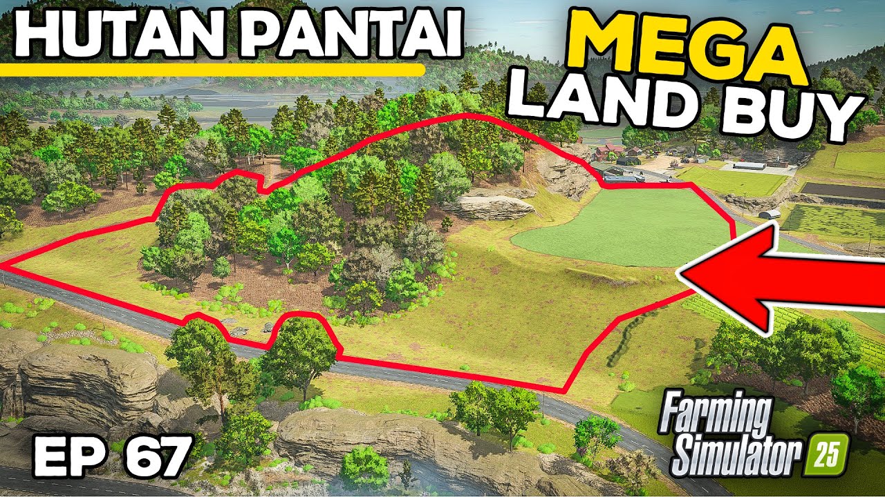 МЕЧТА СБЫЛАСЬ!! ПОКУПКА ЗЕМЛИ ЗА 265 000 ФУНТОВ СТЕРЛИНГОВ | Farming Simulator 25 - Beach Forest ...