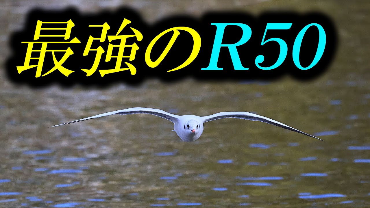 Самый мощный R50