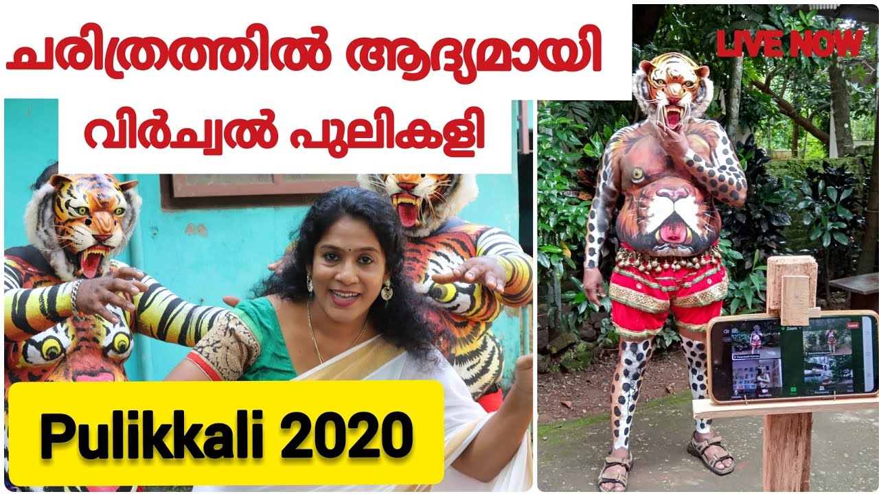 Ayyanthole Desham Pulikalli Kannan Poyyaloo  - 'Play of the Tigers' (Tiger Dance) - Kerala Festival