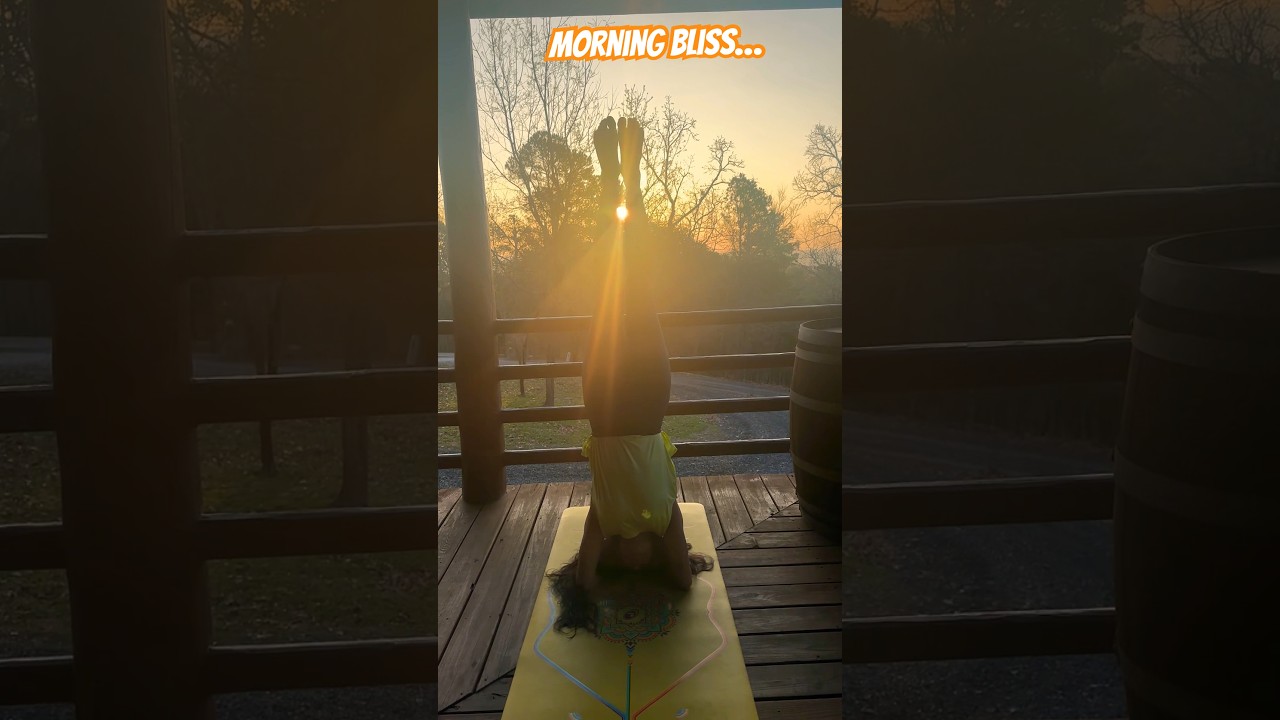 Morning bliss…