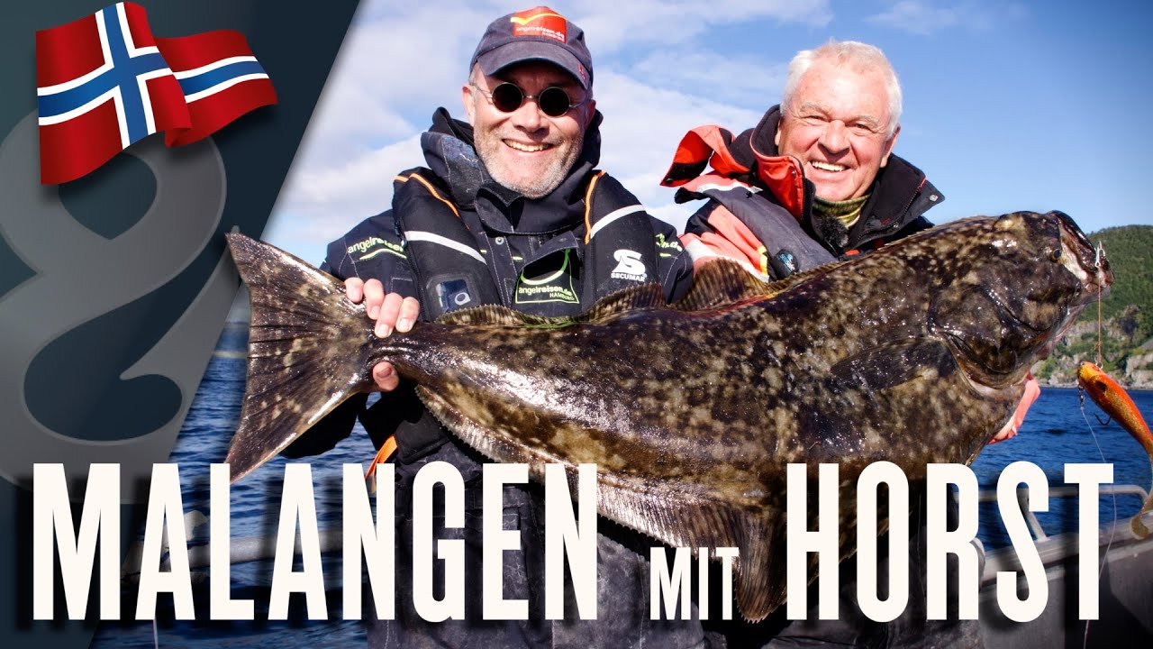 Mit Horst am Malangen-Fjord! 🇳🇴