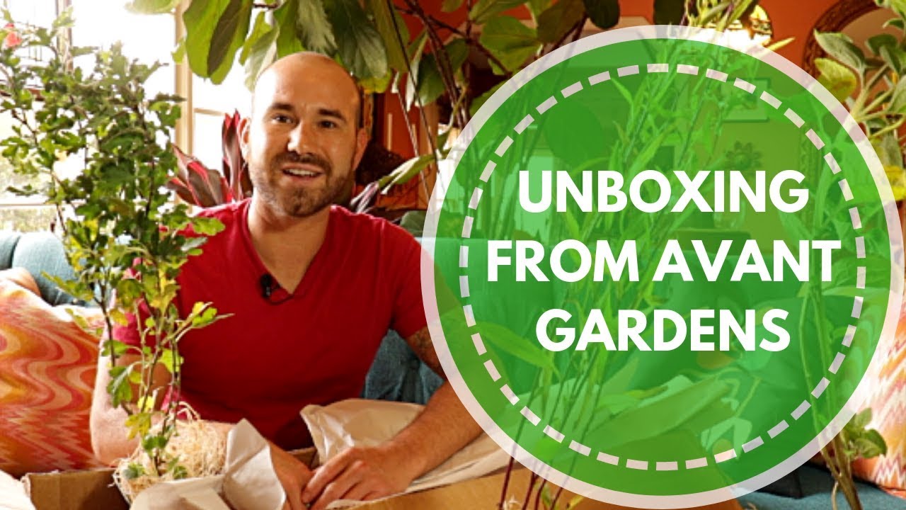Unboxing From Avant Gardens 📦🌸/ Colorful Gardener