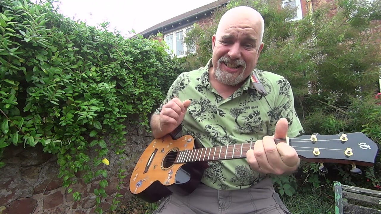 THE POOR by Jesse Welles.  Baritone Ukulele Cover ,chords below ⬇️