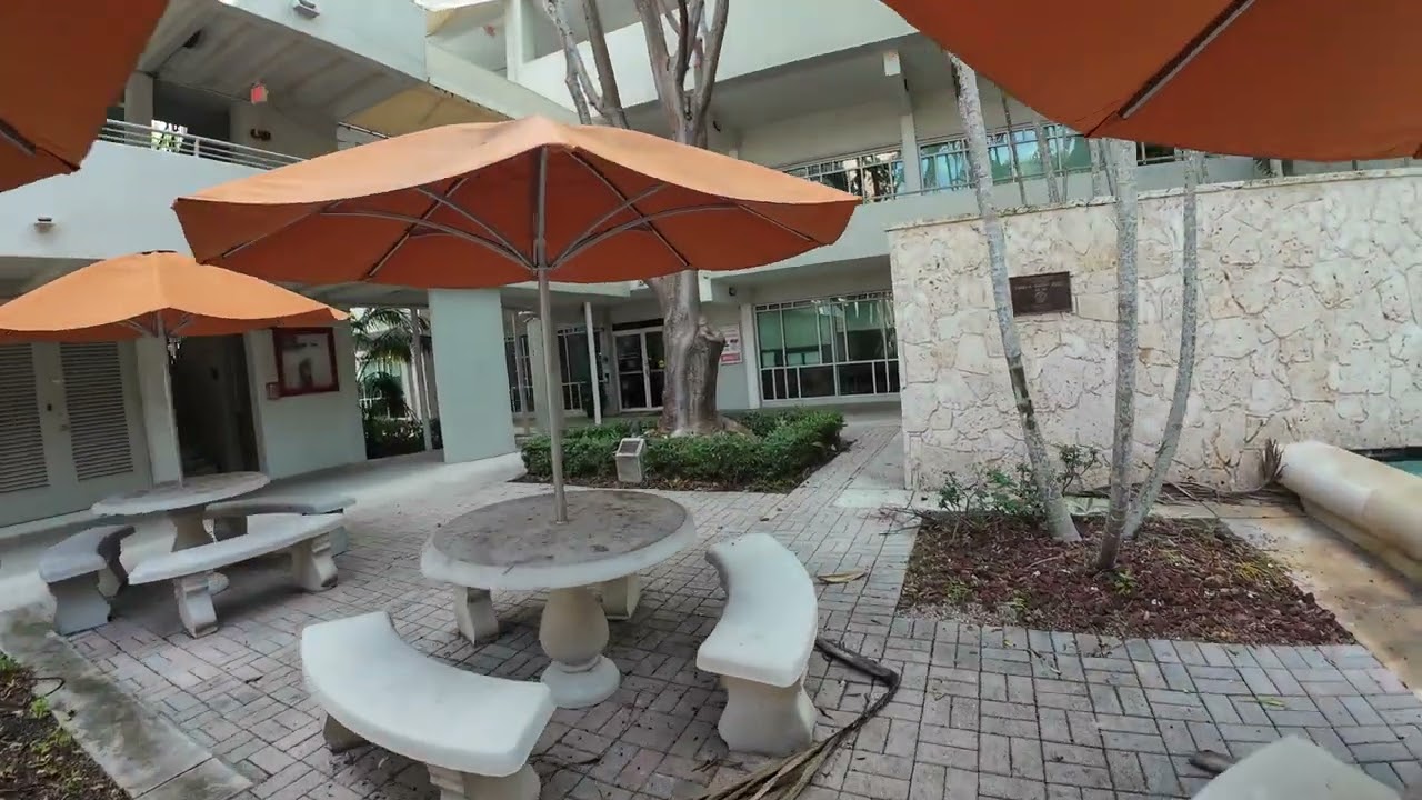 University of Miami school of law