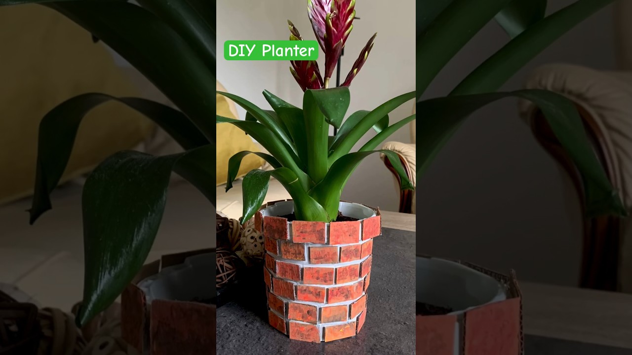 DIY Great Plastic Bucket Reuse Idea | DIY Planter | Best out of Waste #shorts