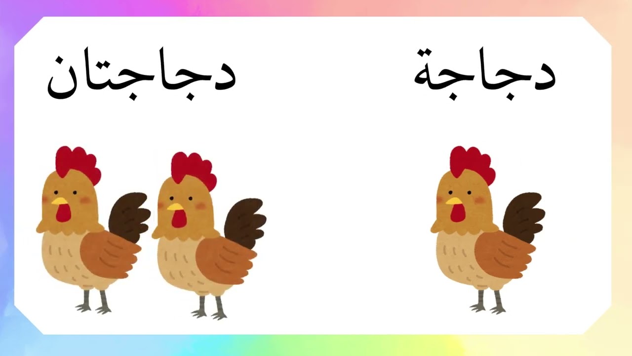 تعلم المفرد والمثنى بالعربي للأطفال - مع صوت طفولي وصور معبرة