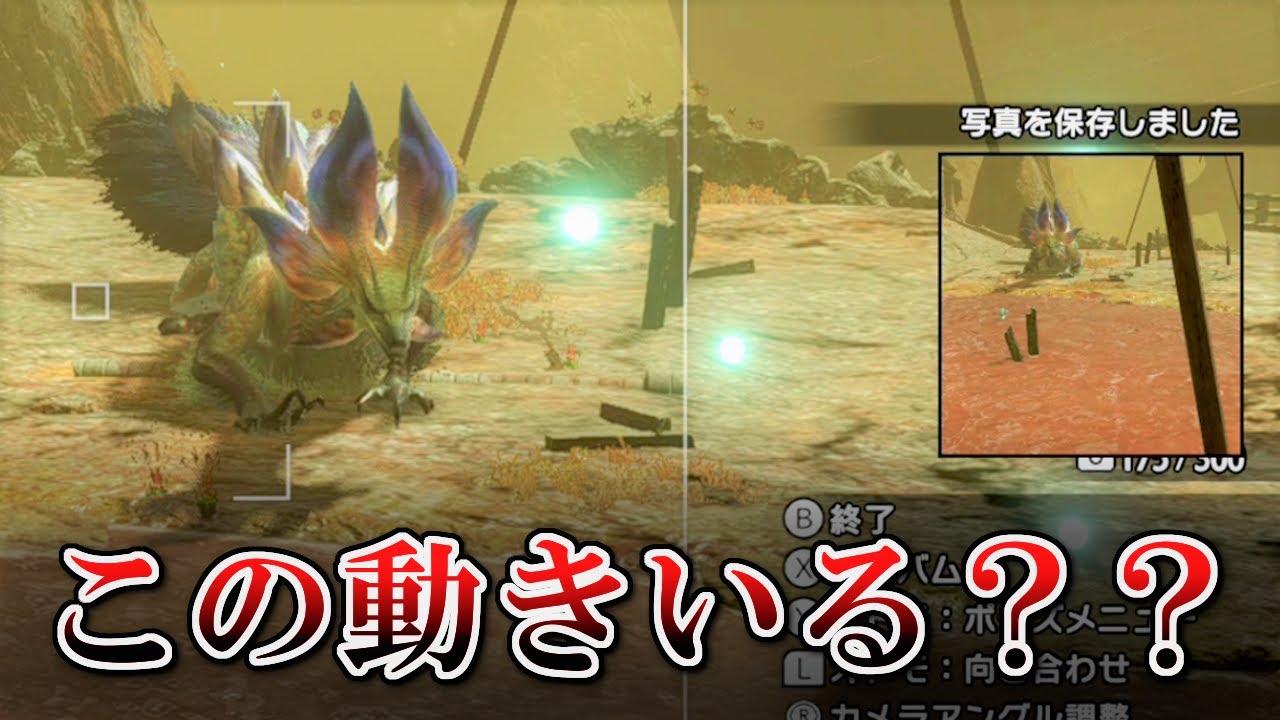 洗練された超高出力チャアクの動きが逆に無駄しかない【タマミツネ希少種】