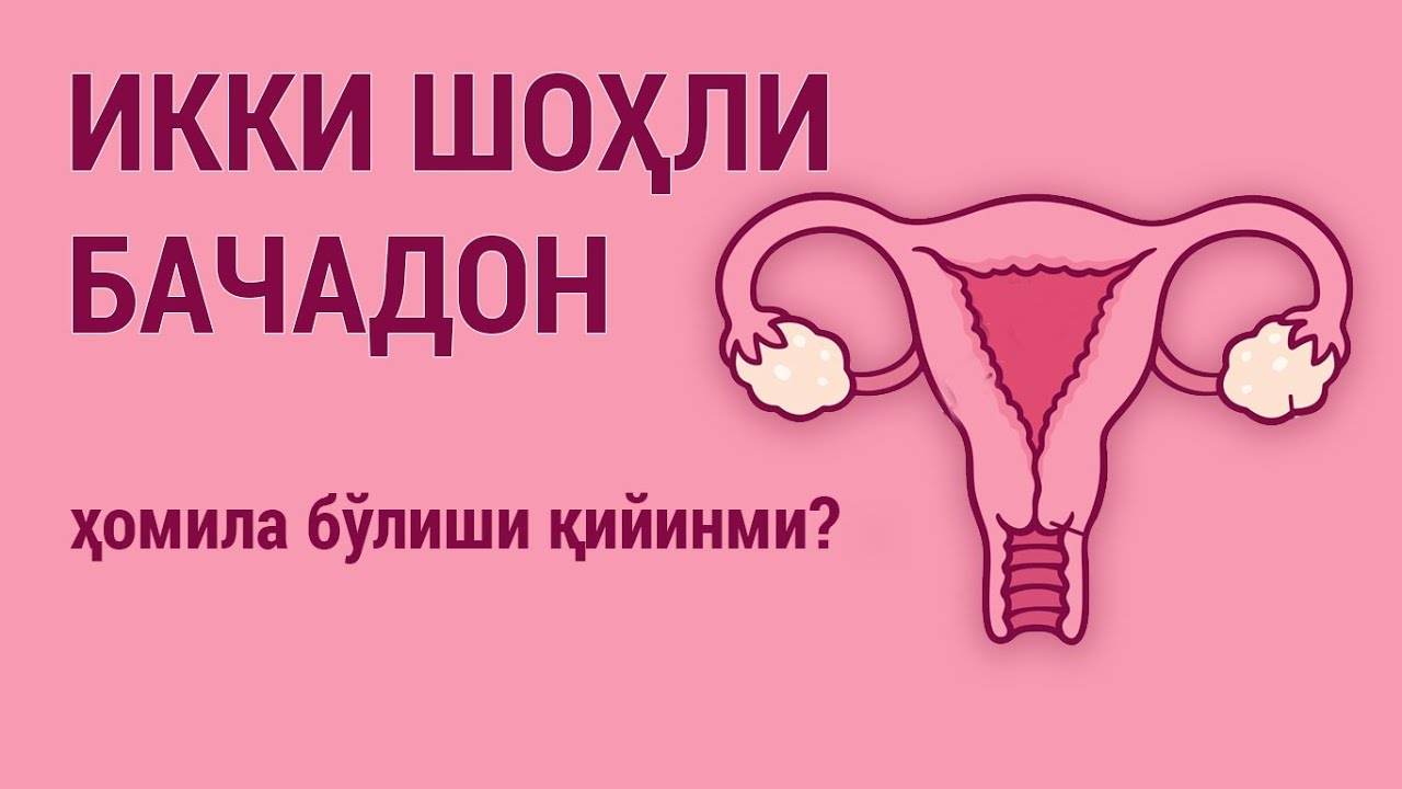 ИККИ ШОҲЛИ БАЧАДОН: ҳомила бўлиши қийинми?