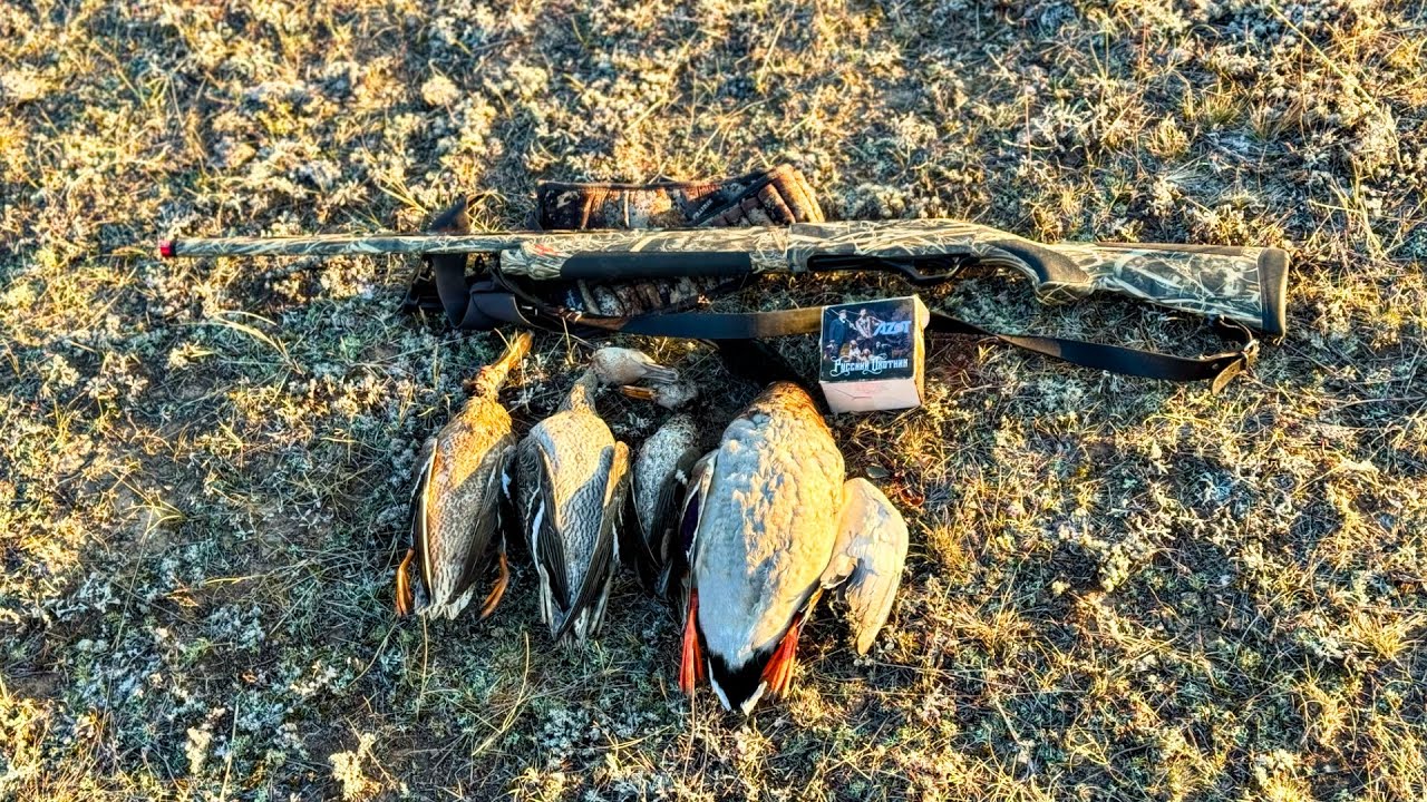 Такое в первые. Охота на утку, осень. Попали в буран #охота #hunting #охотанауток