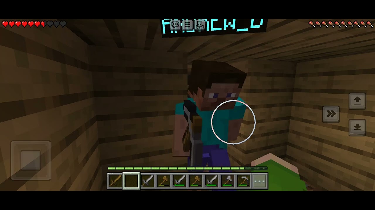 another video of me and my little brother surviving in minecraft