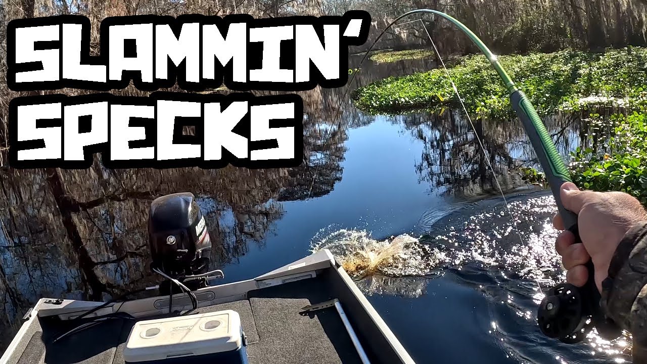 BLACK Crappie BONANZA on the Withlacoochee River