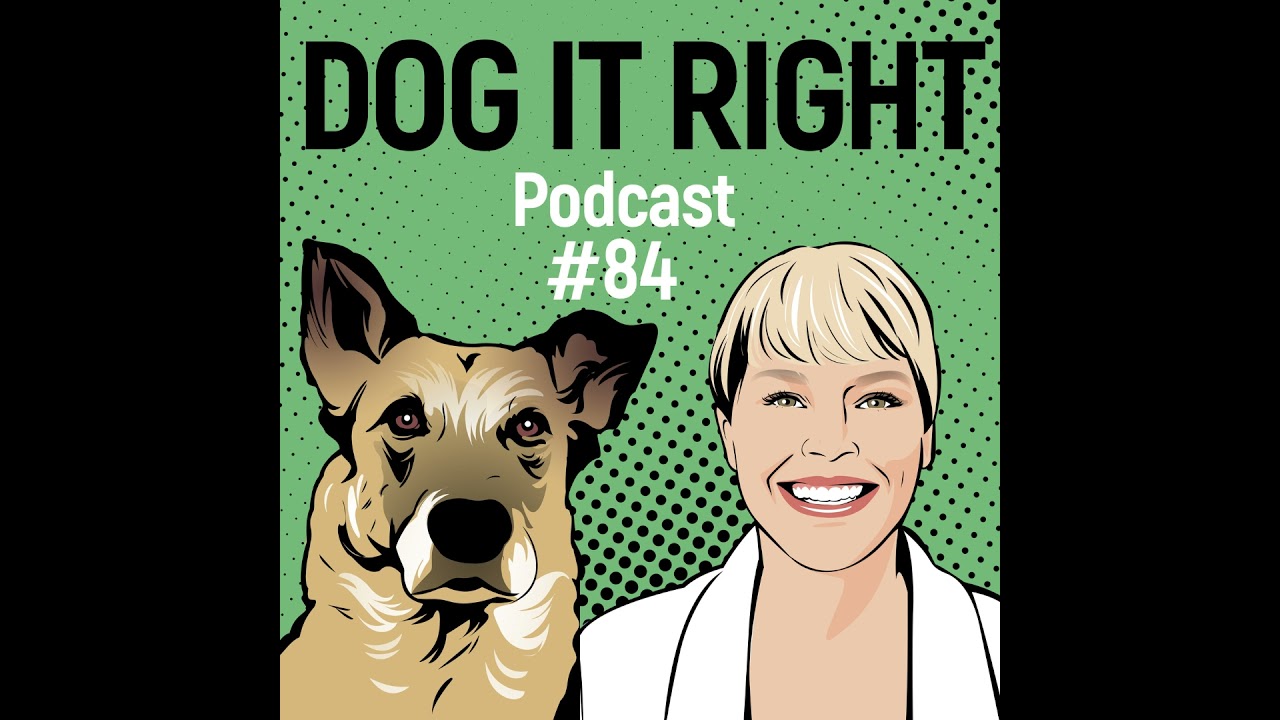 #84: Wie lernt mein Hund andere Hunde zu ignorieren