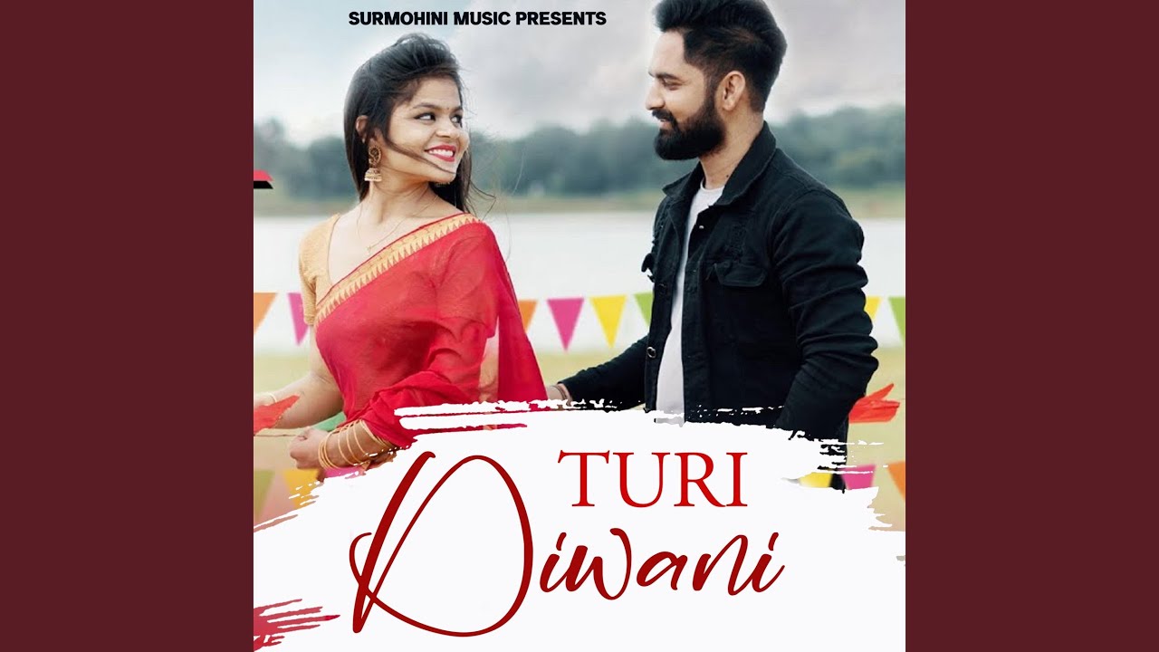 Turi Diwani