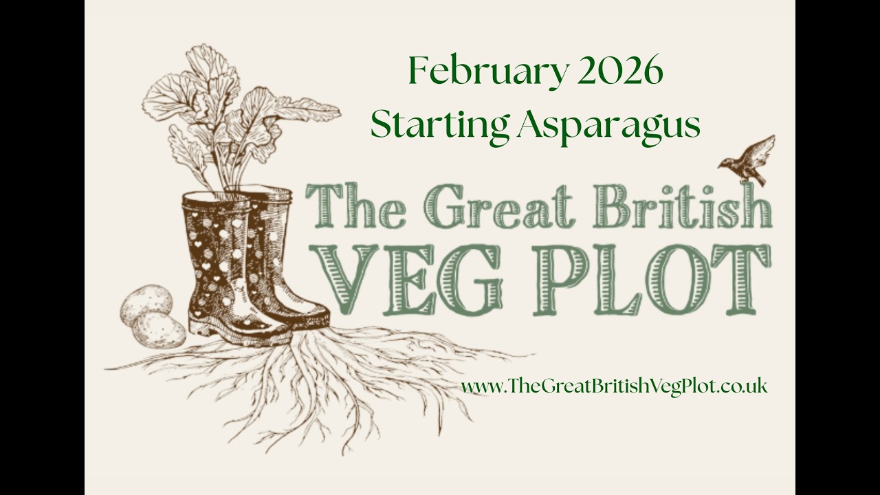 Starting Asparagus from seed