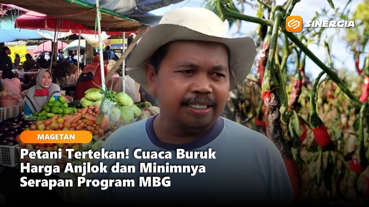 MAGETAN - Petani Tertekan! Cuaca Buruk Harga Anjlok dan Minimnya Serapan Program MBG